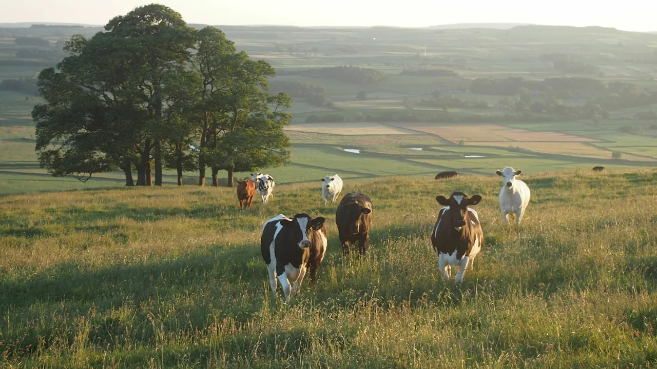 Hyper ‘Local Food Sourcing’ Build a Sustainable Supply Chain