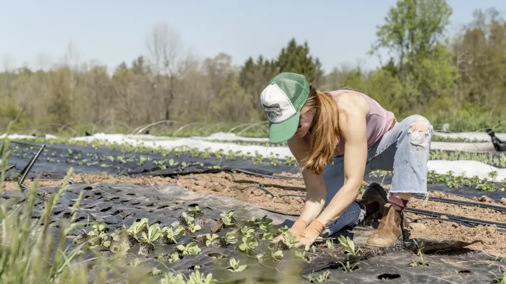 The Farmer’s Name: ‘Farm gate buying’ and why it matters.