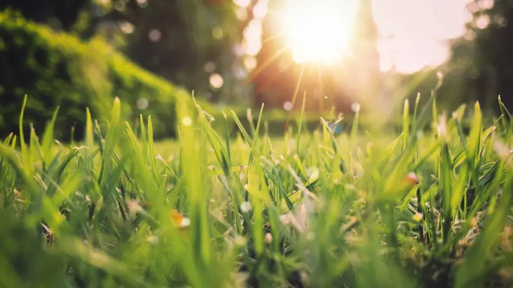 Spring Is Coming. Are You Ready for It?