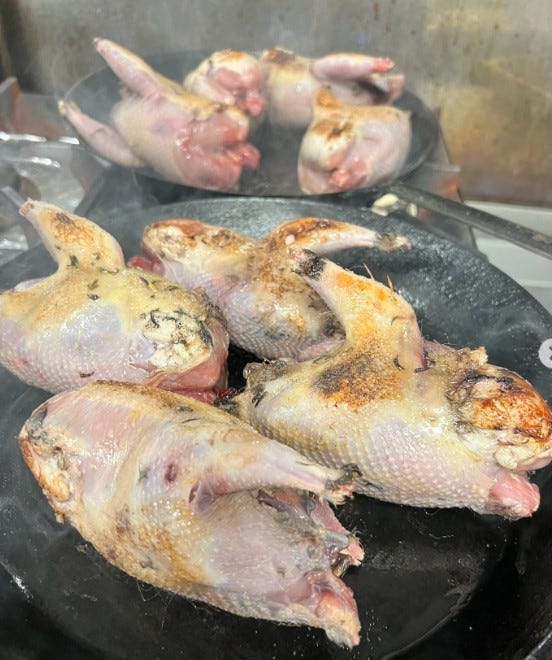 These birds had to die for someone to treat them like this