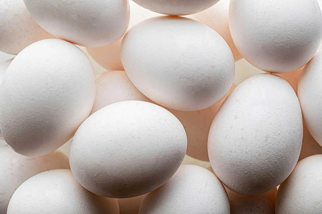 Where we would be if it were not for the humble EGG?
