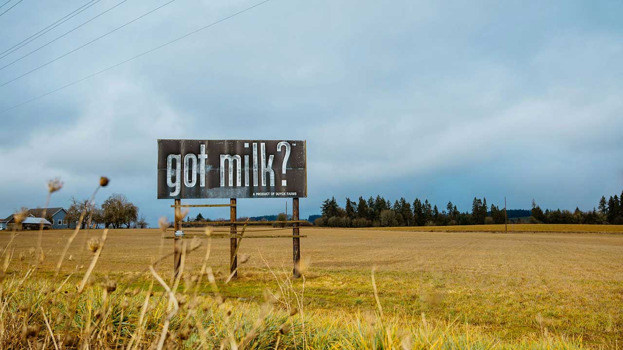 The Great Extraction: Why the War on ‘Milk’ is a War on Culinary History and Creative Freedom