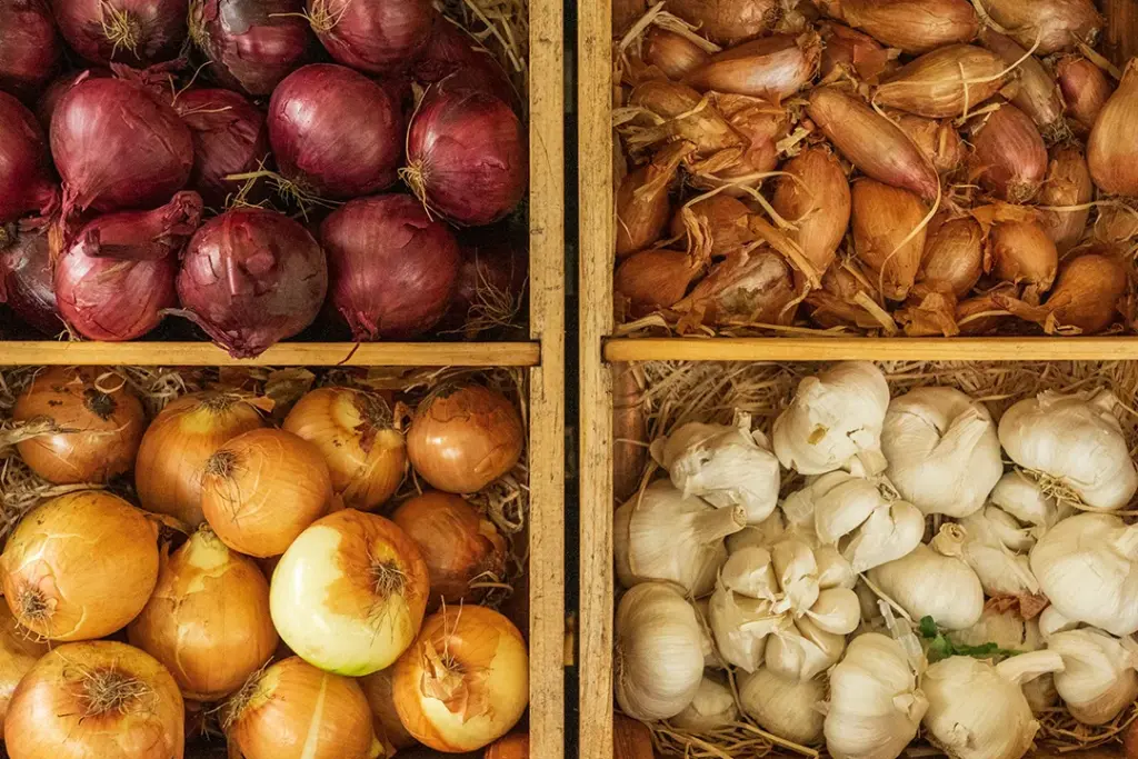 Do you know your onions?