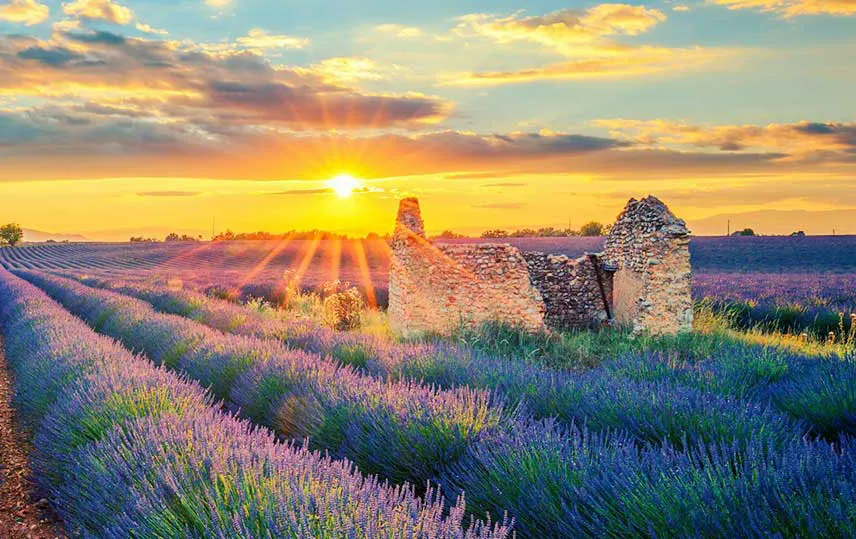 provence3