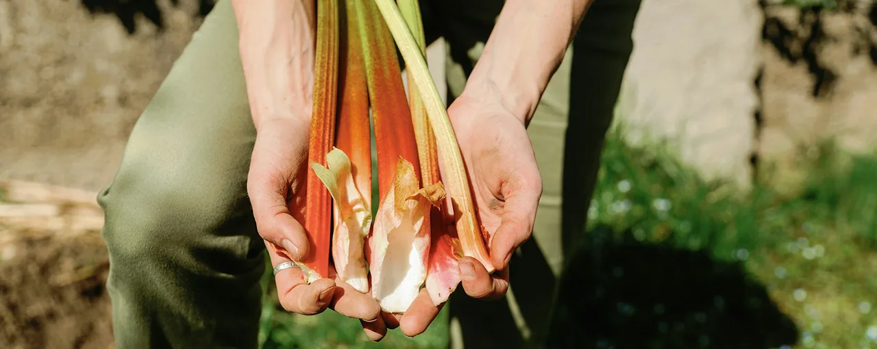 What’s Coming Into Season in British Kitchens (And Why Timing Matters More Than Lists)